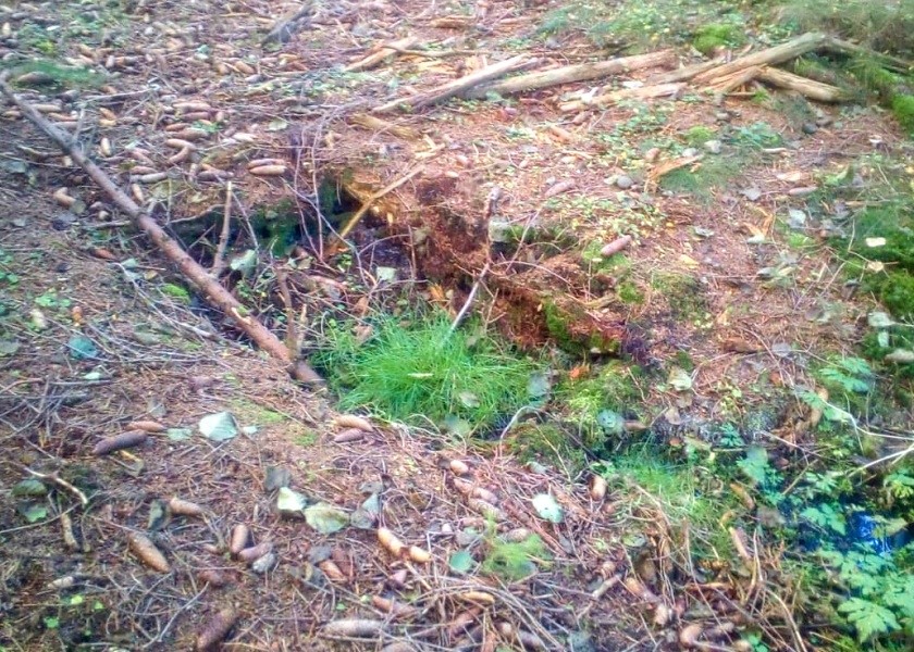 studánka U Ovčáku (4) - datum neznámé