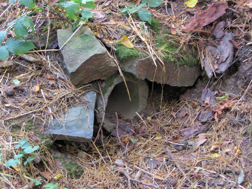 studánka Anna (10) - červenec 1999