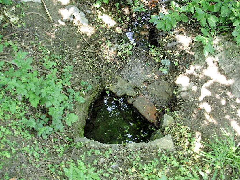 studánka Za Hřištěm (27) - září 1999