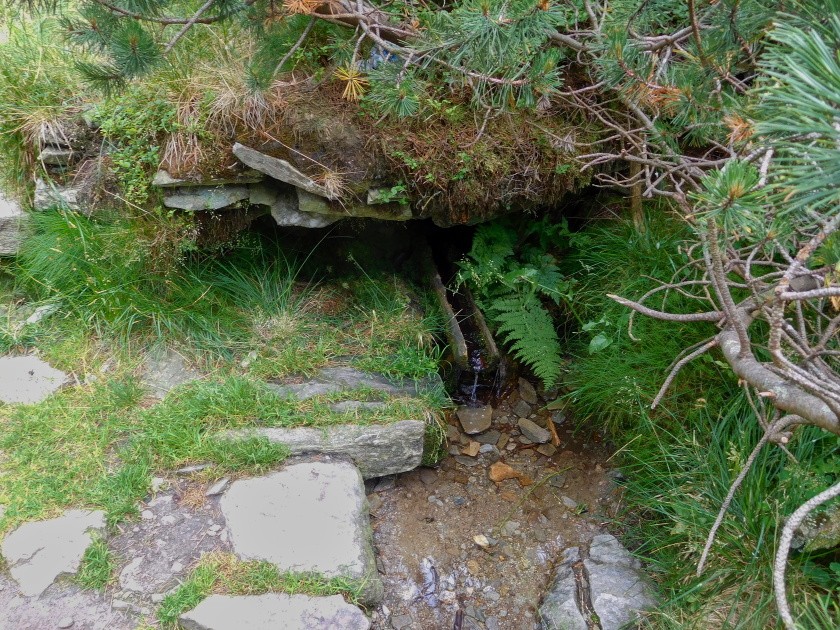 studánka Emin pramen (30) - červenec 2023