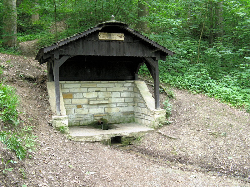 studánka V Bažantnici (37) - listopad 1999