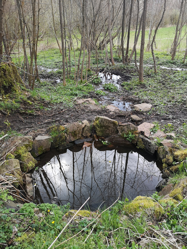studánka Klenov (66) - duben 2023