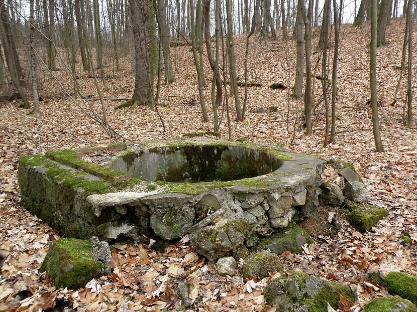 Ringhofferova studna (78) - březen 2001