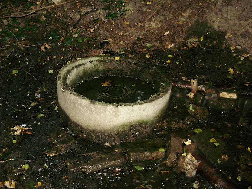 studánka U Mlýnku (93) - září 2001