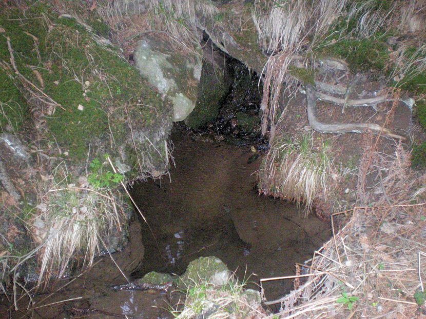 studánka Temnička (94) - říjen 2001