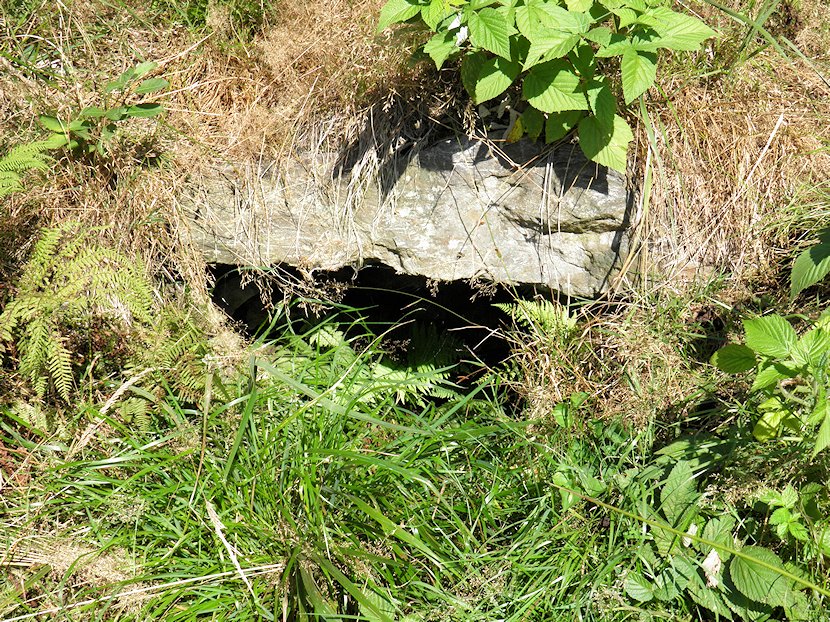 studánka Voděnka (95) - říjen 2001