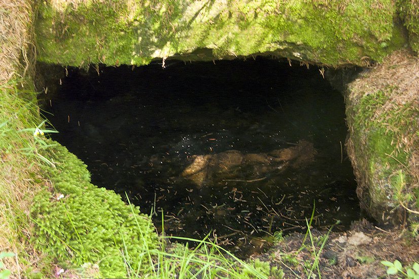 studánka Na Pasece snů (98) - říjen 2001