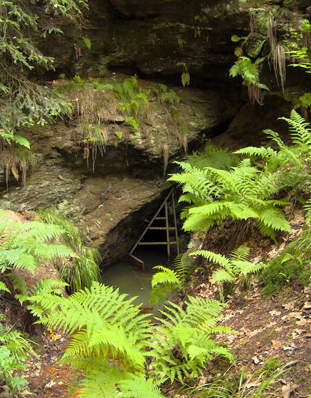 Ještěrčí studánka (99) - říjen 2001