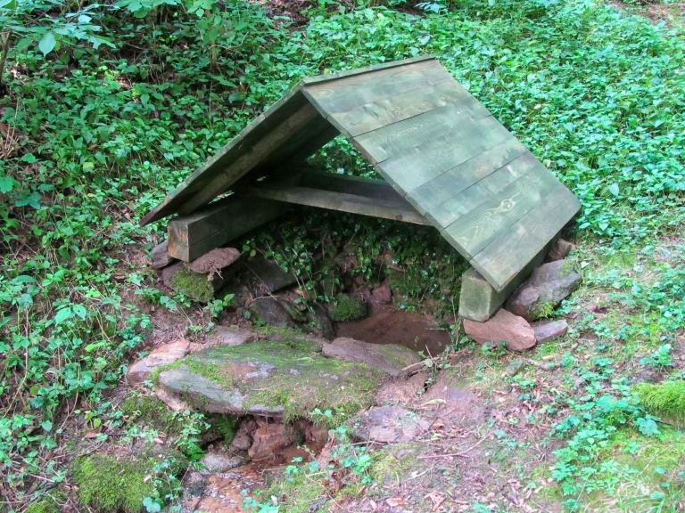 Polní studánka (101) - září 2023