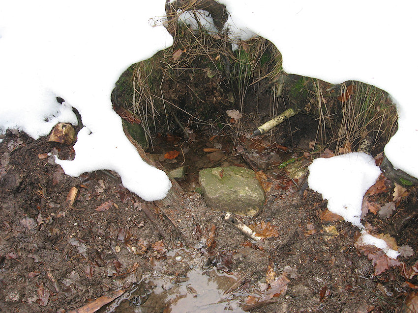 studánka Na Žďáru - jih (1023) - březen 2009