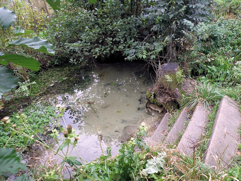studánka Bezednice (1033) - datum neznámé