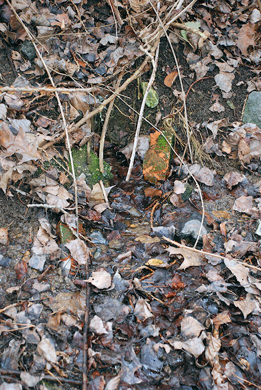 pramen Bezdomovec (1044) - březen 2009