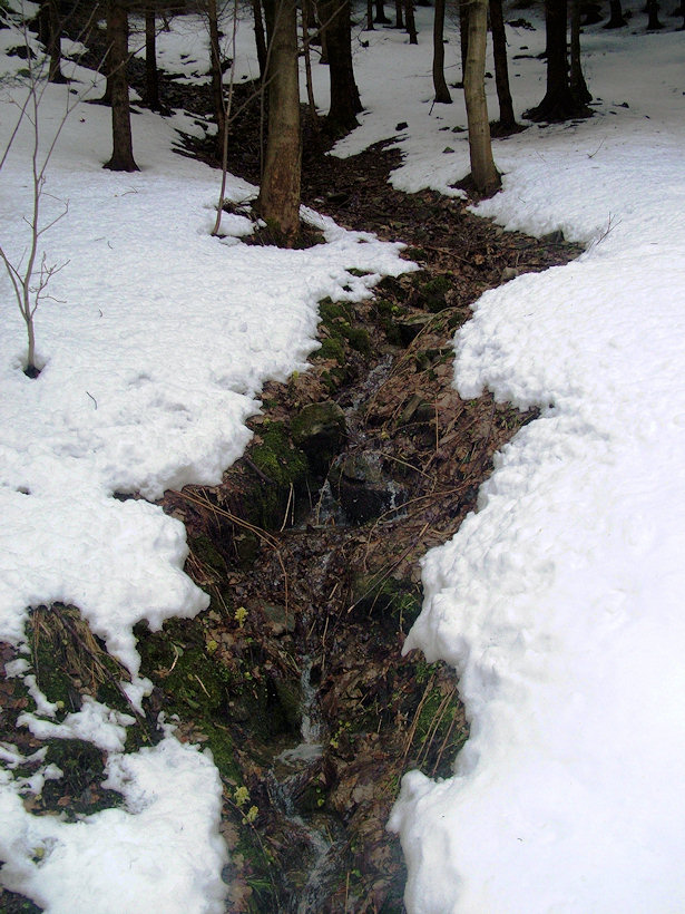 pramen Uhliska (1053) - březen 2009
