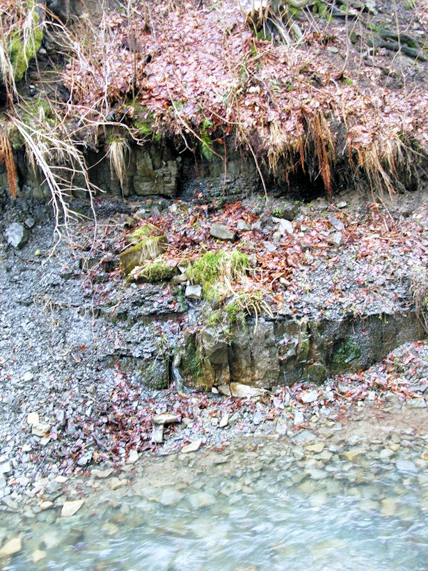 prameniště Malé Lipové (1055) - březen 2009