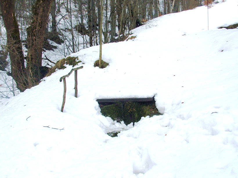 pramen Kubošovice (1057) - březen 2009