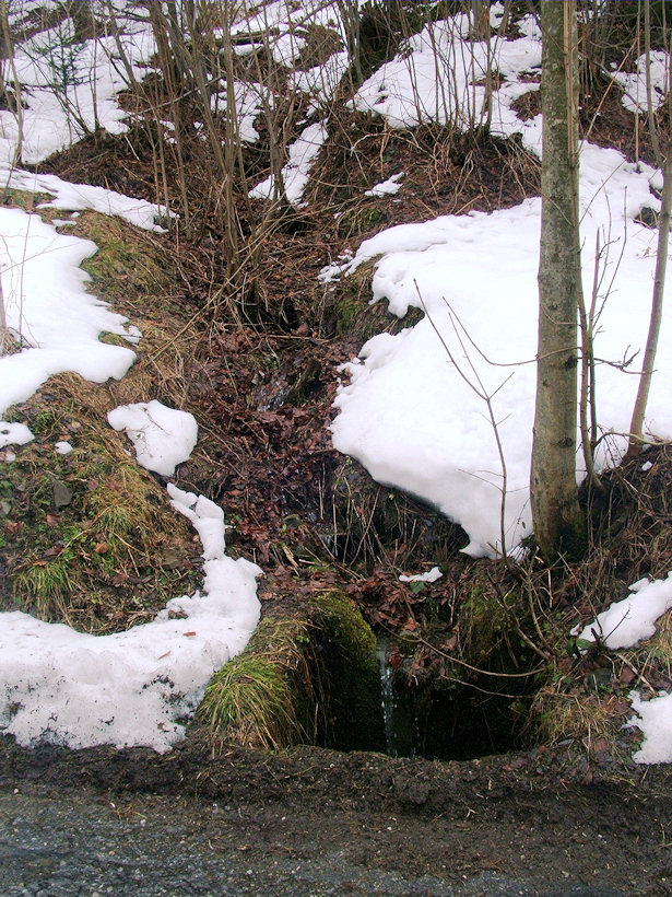 pramen Nad Gřundělkou (1058) - březen 2009