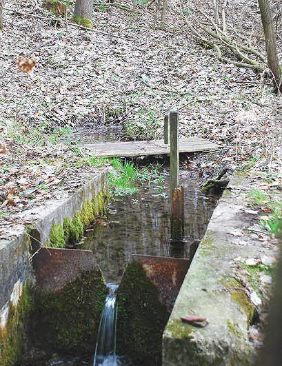 pramen Rachotova studánka (1072) - březen 2009