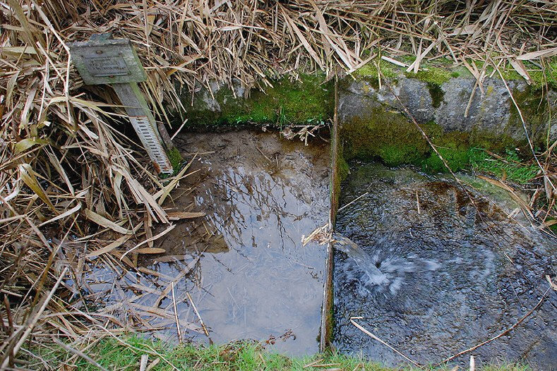 pramen Kaiserova studánka (1073) - březen 2009