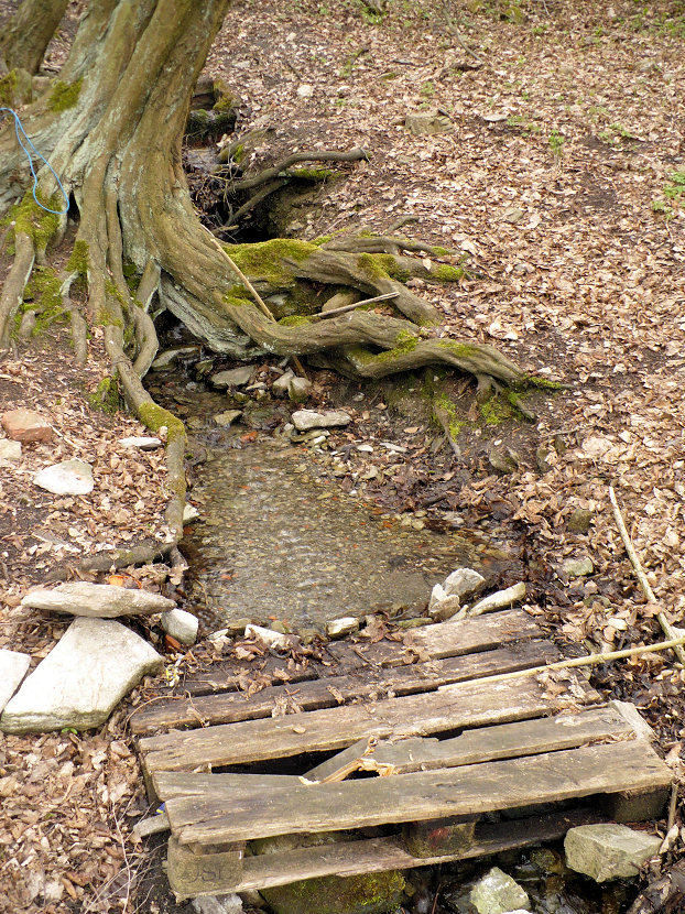 studánka Sněženka (108) - duben 2002