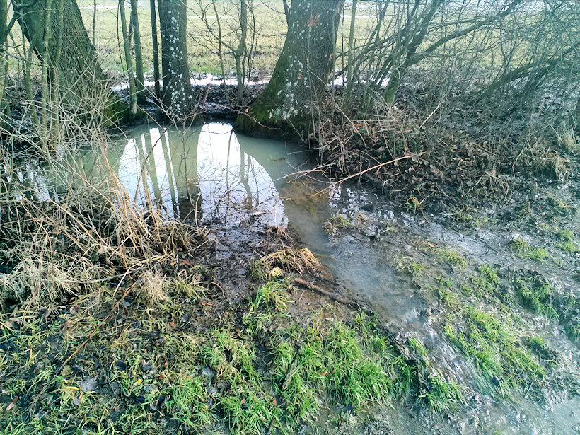 studánka Svážná studna (1082) - únor 2021