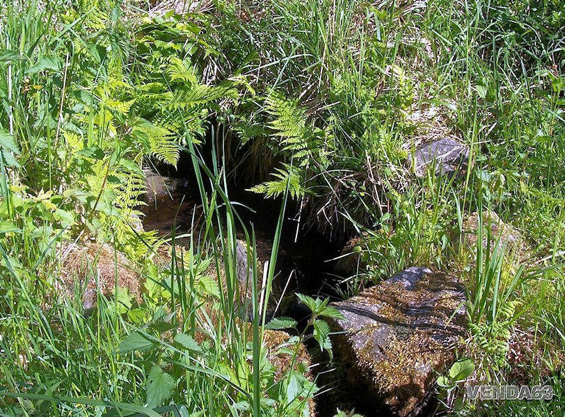 studánka Duběnka (110) - duben 2002