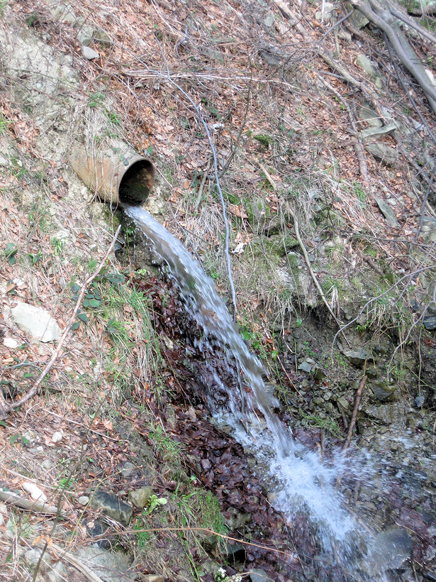 pramen Pod Ondrášem (1118) - duben 2009