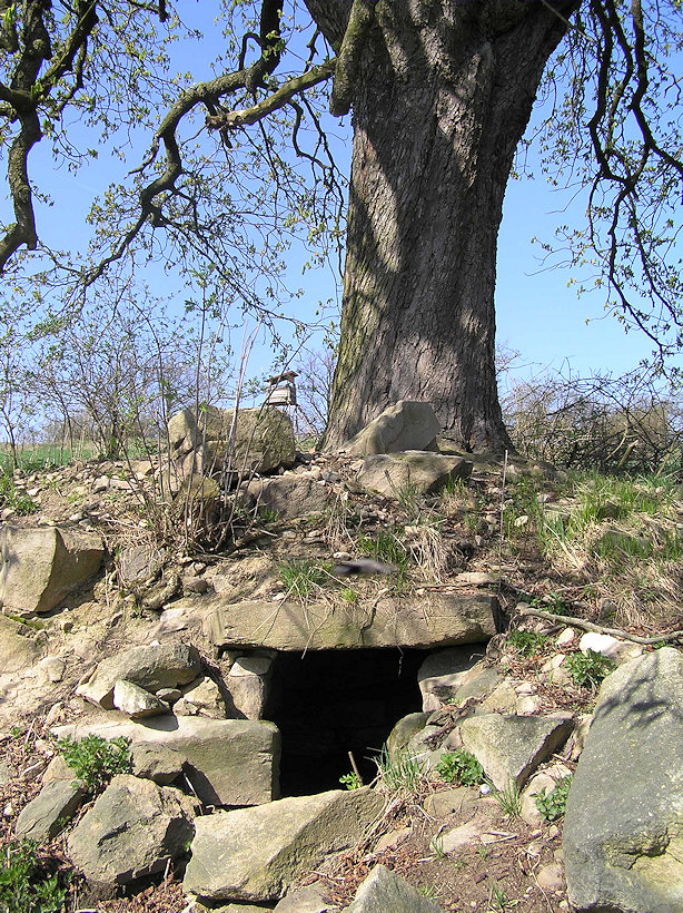 Kaštanová studánka (1126) - duben 2009