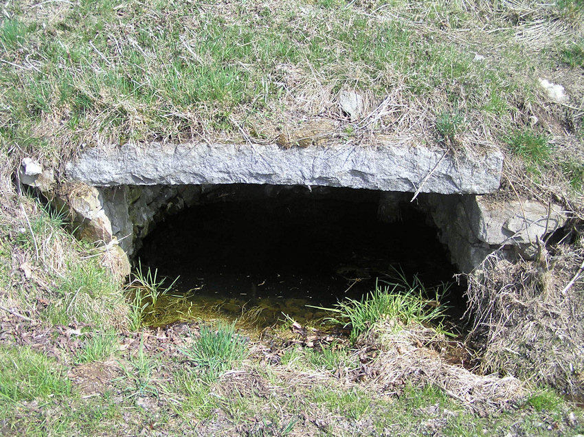 studánka bez jména (1129) - duben 2009