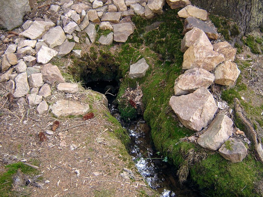 studánka Mechová (1142) - duben 2009