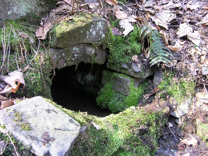 studánka bez jména (1143) - duben 2009