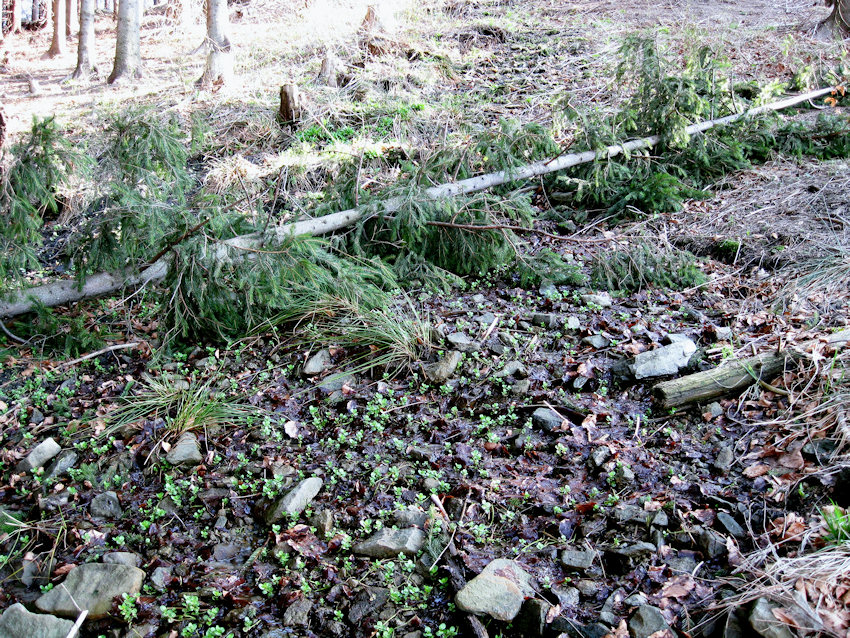 prameniště U Kotaře (1149) - duben 2009