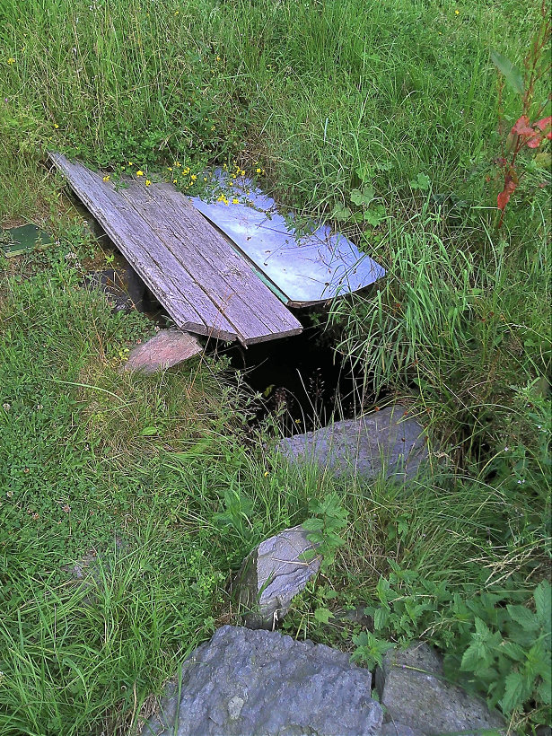 studánka bez jména (115) - červen 2002