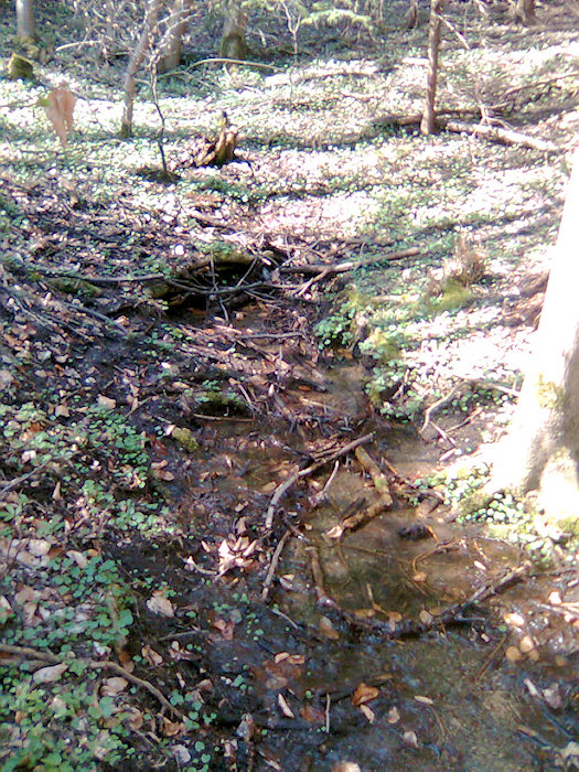 Pramen Křížového potoka (1151) - duben 2009