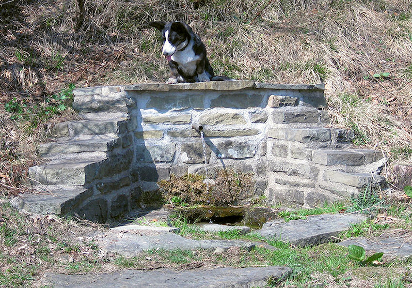 studánka U Česnečky (1160) - duben 2009