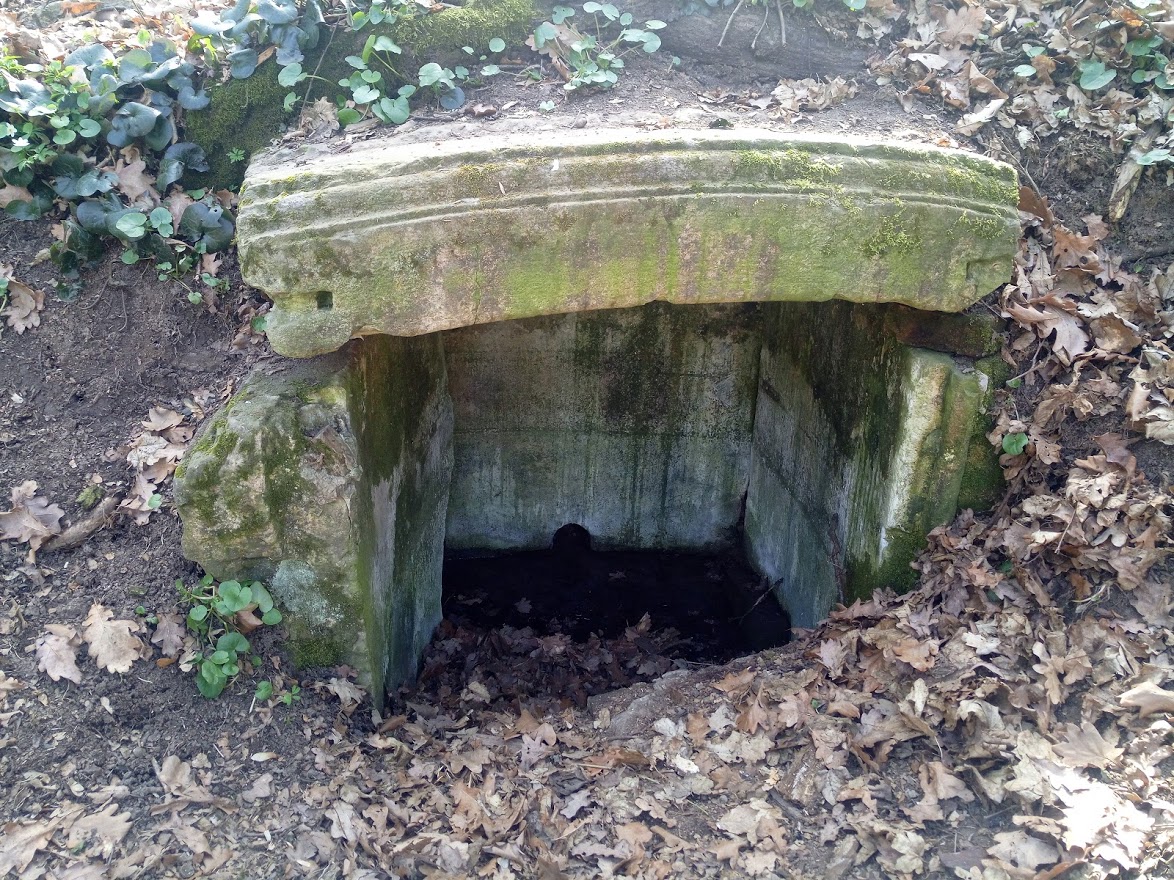 studánka Pod bukem (1169) - duben 2009