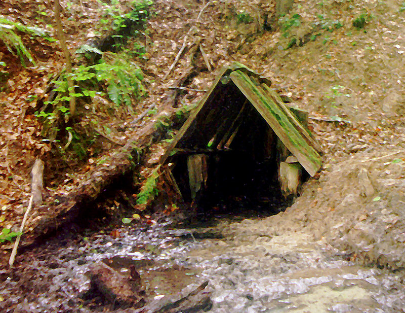 studánka bez jména (1188) - duben 2009