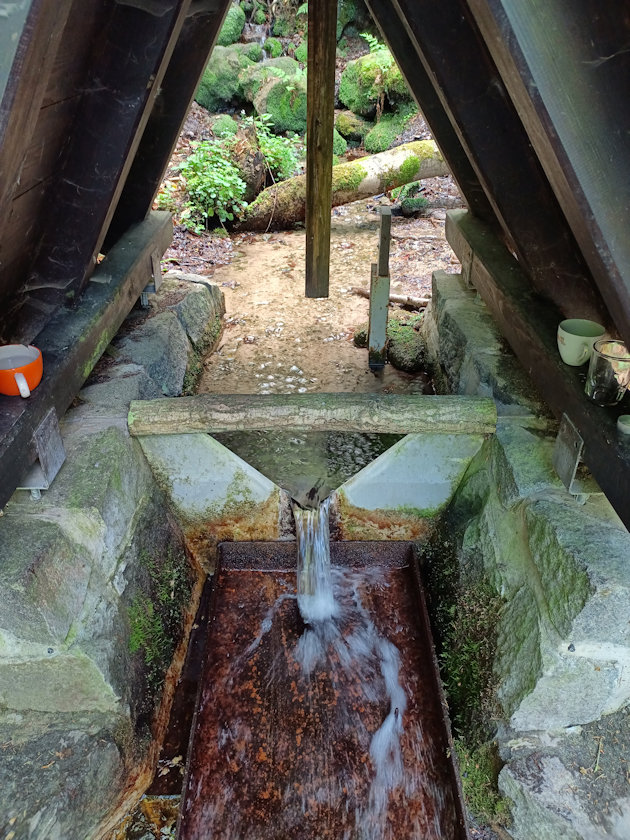 studánka Kapalice (1190) - květen 2022