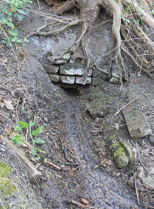 studánka Nad Peluňkem (1210) - datum neznámé