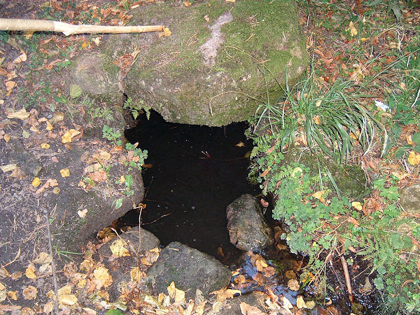 studánka Panský stůl (1218) - květen 2009