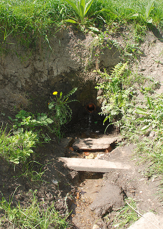 Polní prameny (1221) - květen 2009