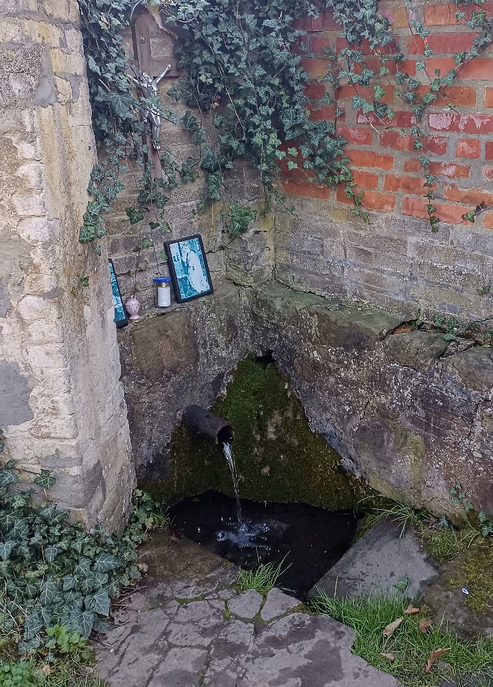 studánka Čůráček (1230) - březen 2024