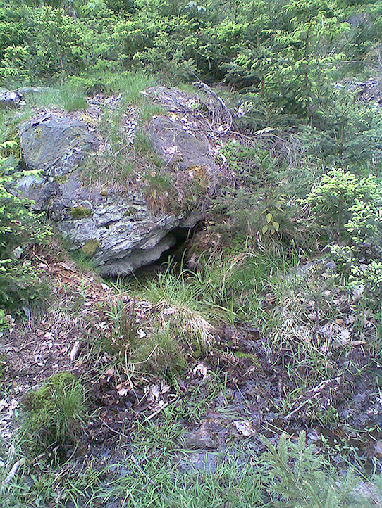 pramen Pod kamenem (1232) - květen 2009