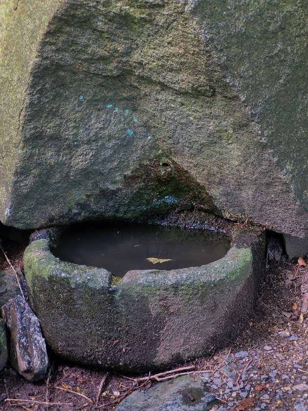 Verunčina studánka (1239) - srpen 2023