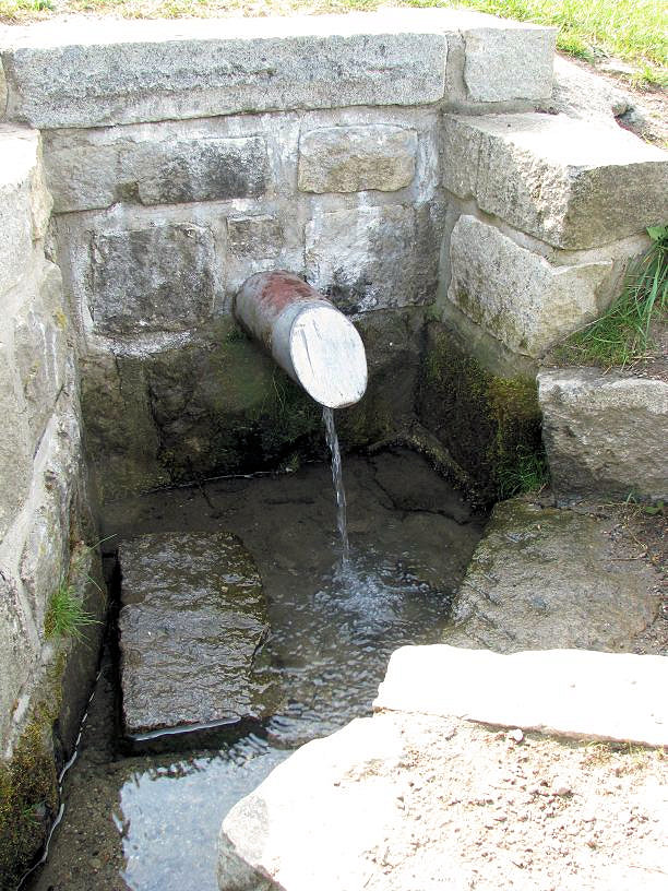 pramen Pod židovským hřbitovem (1253) - květen 2009