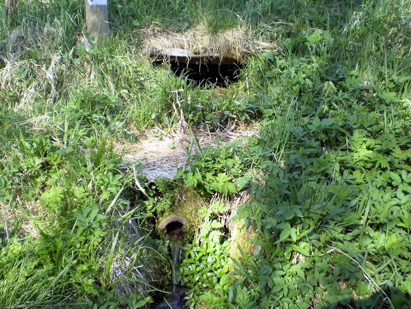 studánka Uhlířka (1256) - květen 2009