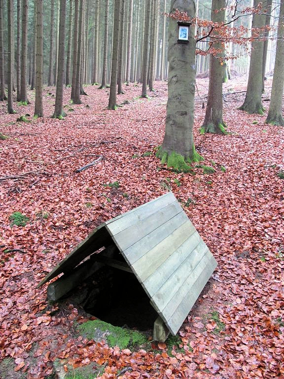 studánka Rousínovská kašna (126) - listopad 2020