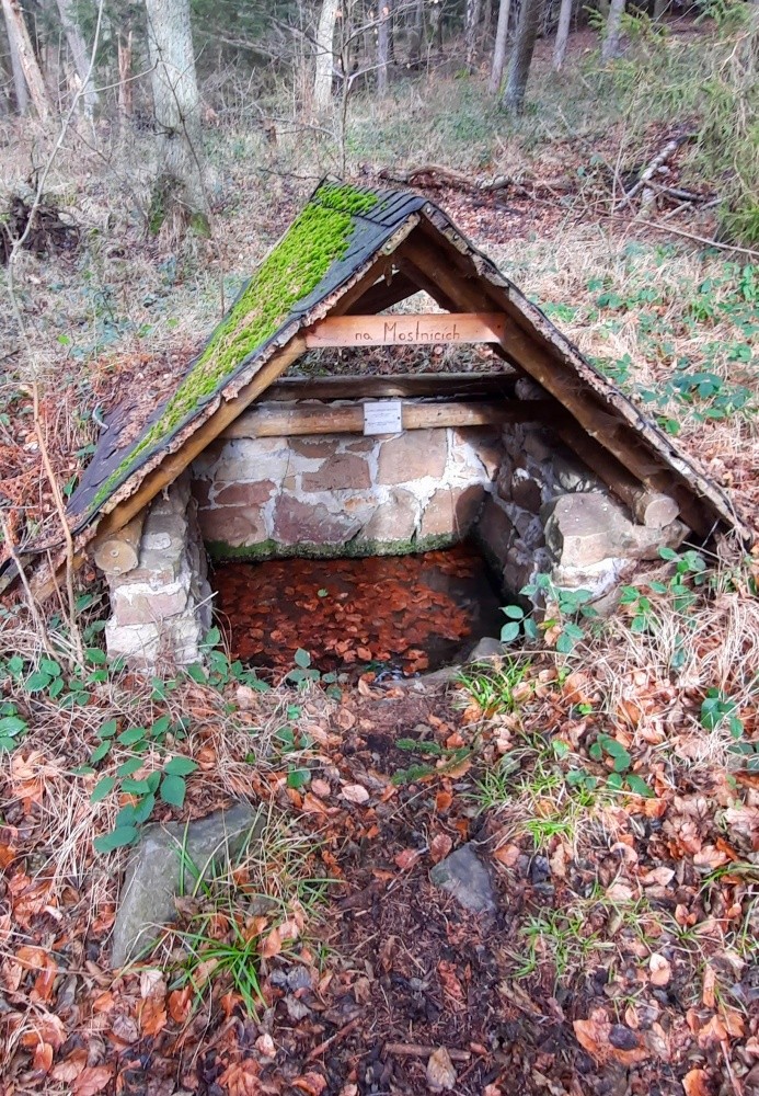 studánka Na Mostnicích (1271) - leden 2025