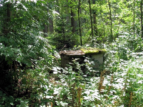 Stará studna u střelnice Kolvín (1274) - květen 2009