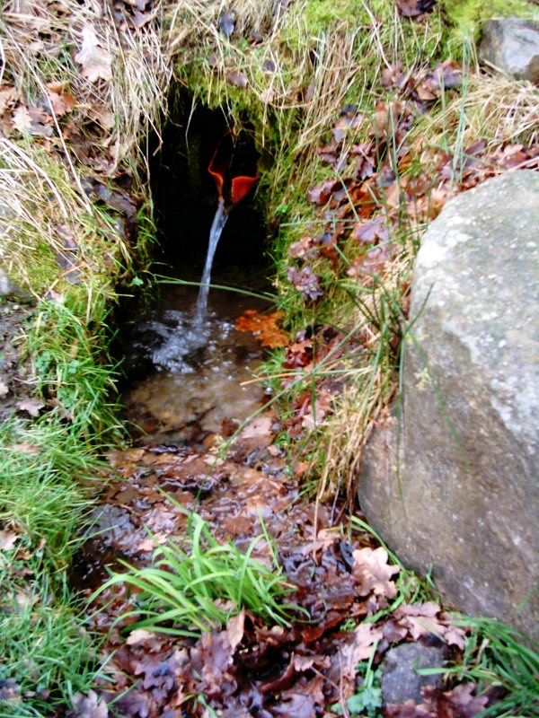 studna Karšíkovic studánka (1276) - květen 2009