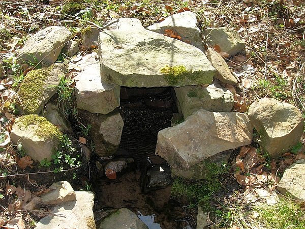 pramen Pod skořickou loukou (1284) - květen 2009